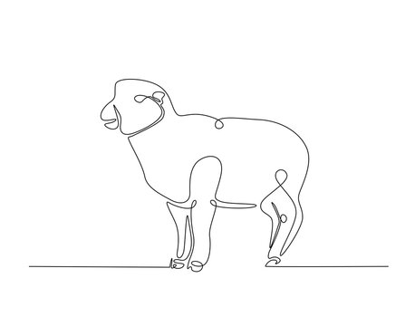 recommend clip art: Domestic sheep simple line art illustration. Continuous one line draw of goat animal.