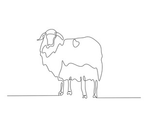 Domestic sheep simple line art illustration. Continuous one line draw of sheep animal.
