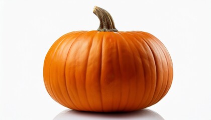 Obraz premium pumpkin on white background