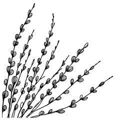 A set of willow twigs drawn with one line. Spring season. Easter concept. Hand drawn, Vector illustration © YanaBerezh