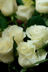 Roses – Elegant and romantic flowers symbolizing love and passion.
Lilies – Graceful blooms known for their delicate fragrance and beauty.