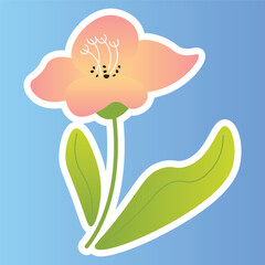 Vector flower illustration