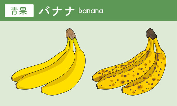 バナナ　banana　果物　野菜