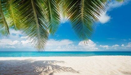 coconut palm tree branches and white sand are under blue cloudy sky