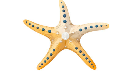 Stylized 3D rendering of a nautical starfish wheel with intricate details a weathered wooden texture and ocean themed engravings  Transparent background cutout format