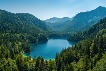 Obraz premium Panoramic aerial view of a lake surrounded by dense forest under a clear blue sky