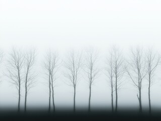 Atmospheric Silhouettes of Bare Trees in Dense Fog, Mysterious and Minimalist Landscape