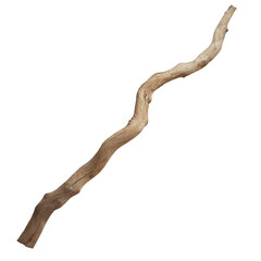 tree trunk isolated on white background