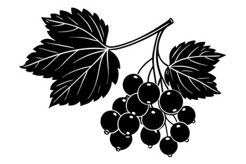 Obraz premium Currant Vector Illustration for Nature-Inspired Design