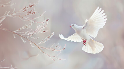 A White Dove Soaring Above a Tranquil Battlefield: Olive Branches and the Dawn of Lasting Peace