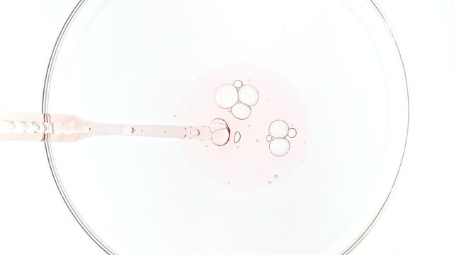 Transparent Pink Fluid Oil, Serum, Gel from a from Pipettes into Petri Dishes. Chemical Laboratory Research. Natural Organic Cosmetics, Medicine. Production of Natural Cosmetics Close-up. 4k. 
