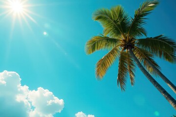 Fototapeta premium Tall palms against a cloudless azure sky, sunlight filtering through fronds , beach, greenery, vibrant