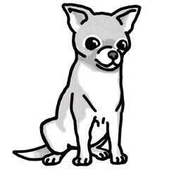 チワワ　chihuahua　白黒　犬のイラスト