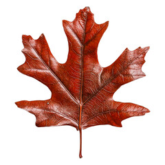 Naklejka premium Vibrant Red Maple Leaf Isolated on for Nature Lovers