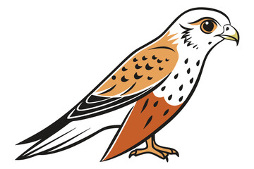 Fototapeta premium Detailed American Kestrel Vector Art Design for Wildlife Lovers