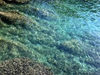 Crystalline sea with underwater seaweed .