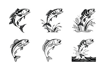Obraz premium Dusky Reef Perch silhouette vector illustration