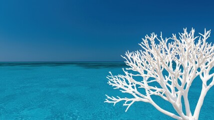 Diverse Marine Ecosystem in a Protected Ocean Reserve