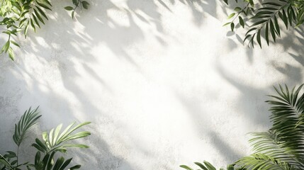 Tropical Leaves Shadows on Light Wall