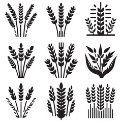 Creative silhouette wheat ears design on white background