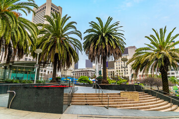 Fototapeta premium A view from the south west corner across Union Square in the morning in San Francisco in early springtime