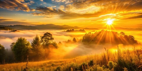 Golden hour mist unveils a dramatic sunrise, sun rays piercing nature's foggy embrace.