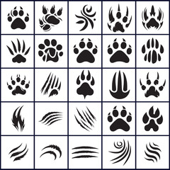 Obraz premium Paw Prints and Claw Marks