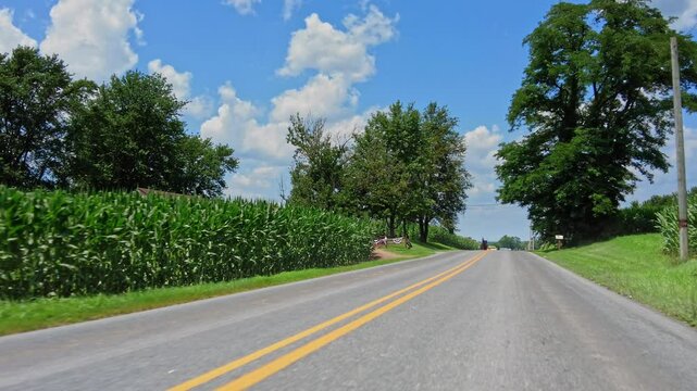 An Amish horse-drawn carriage is seen moving along a rural road beside lush green cornfields, while a yellow car approaches in the opposite direction under a blue sky filled with fluffy white clouds.