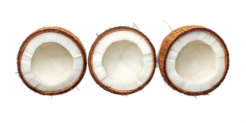 Fresh and Juicy Coconut Cutouts – High-Quality Transparent Background PNG
Tropical Coconut Slices – Isolated PNG for Creative Projects