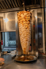 Doner Meat and Chicken on Electric Oven Skewers