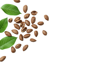 Obraz premium Premium quality coffee beans and fresh green leaves arranged artistically on a white background