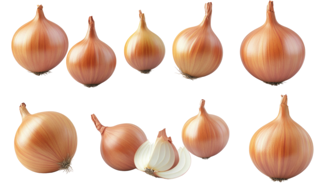 Various types of onions displayed on a white background highlighting their shape and color
