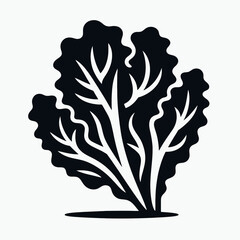 very simple flat and single minimalist Lettuce Silhouette in black on a white background