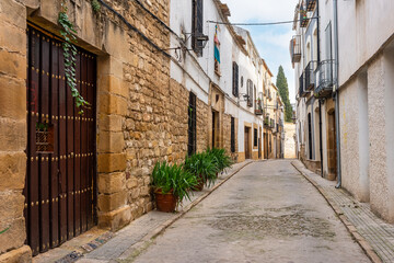 Fototapeta premium Narrow picturesque streets with colorful facades and potted plants at the foot of the doors, Ubeda, Andalusia.