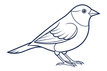 Creative Canary Bird Vector Art for Digital Projects