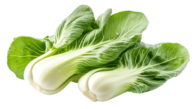 Fresh bok choy leaves isolated on transparent background - a nutritious and versatile cruciferous vegetable.