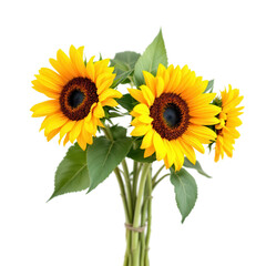 Naklejka premium Sunflower Bouquet on Transparent Background