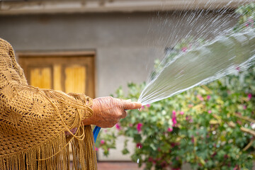 hands of adult Aymara woman watering her plants with a hose in the backyard of her house in latin...
