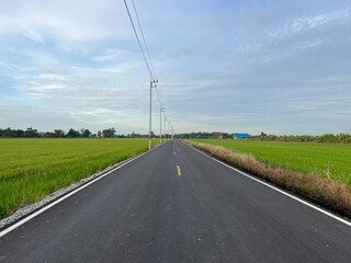 A serene road stretches through lush green fields under a clear sky, inviting travelers to explore...