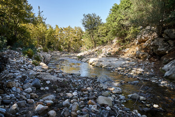 Mountain stream in forest on Crete island