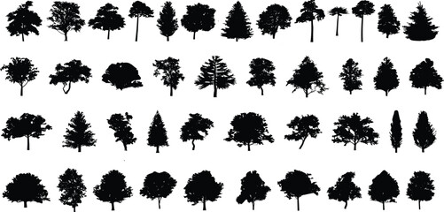 silhouette tree line drawing set, Side view, set of graphics trees elements outline symbol for architecture and landscape design drawing