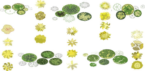 Vector tree top watercolor hand drawn view isolated on white background for landscape plan and architecture layout drawing,