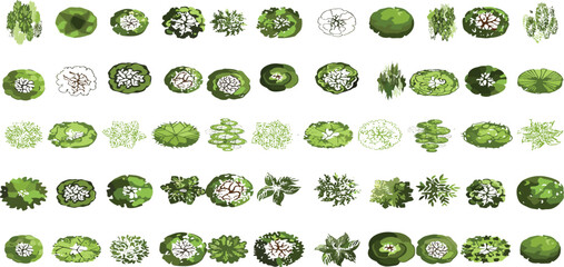 Vector tree top watercolor hand drawn view isolated on white background for landscape plan and architecture layout drawing, © Supernova