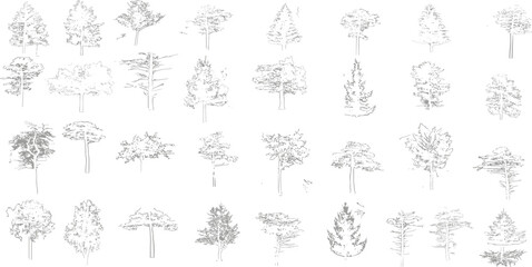 Vector tree top view isolated on white background for landscape plan and architecture