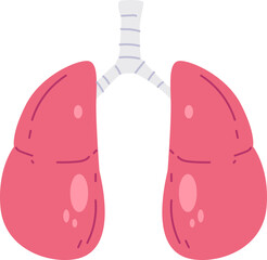 A simple illustration of human lungs
