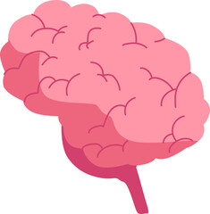 A pink cartoon brain with intricate folds