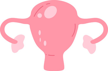 This illustration depicts the female reproductive system