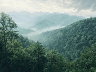 Fototapeta premium Mountain Range with Trees
