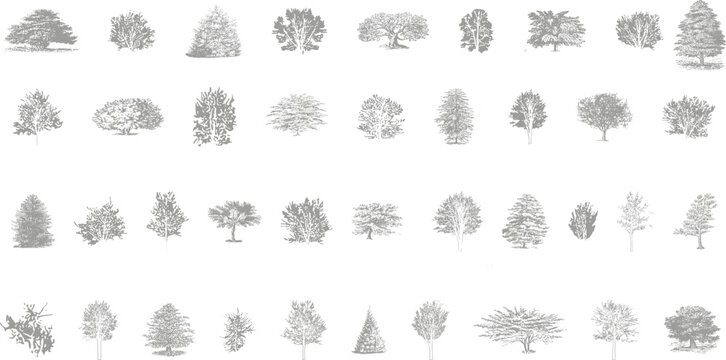Minimal style cad tree line drawing, Side view, set