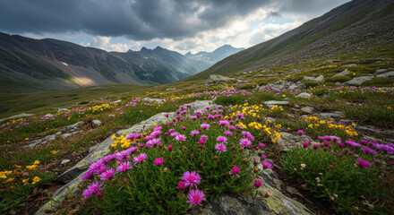 Alpine Bloom: Colorful Wildflowers in a Mountain Meadow